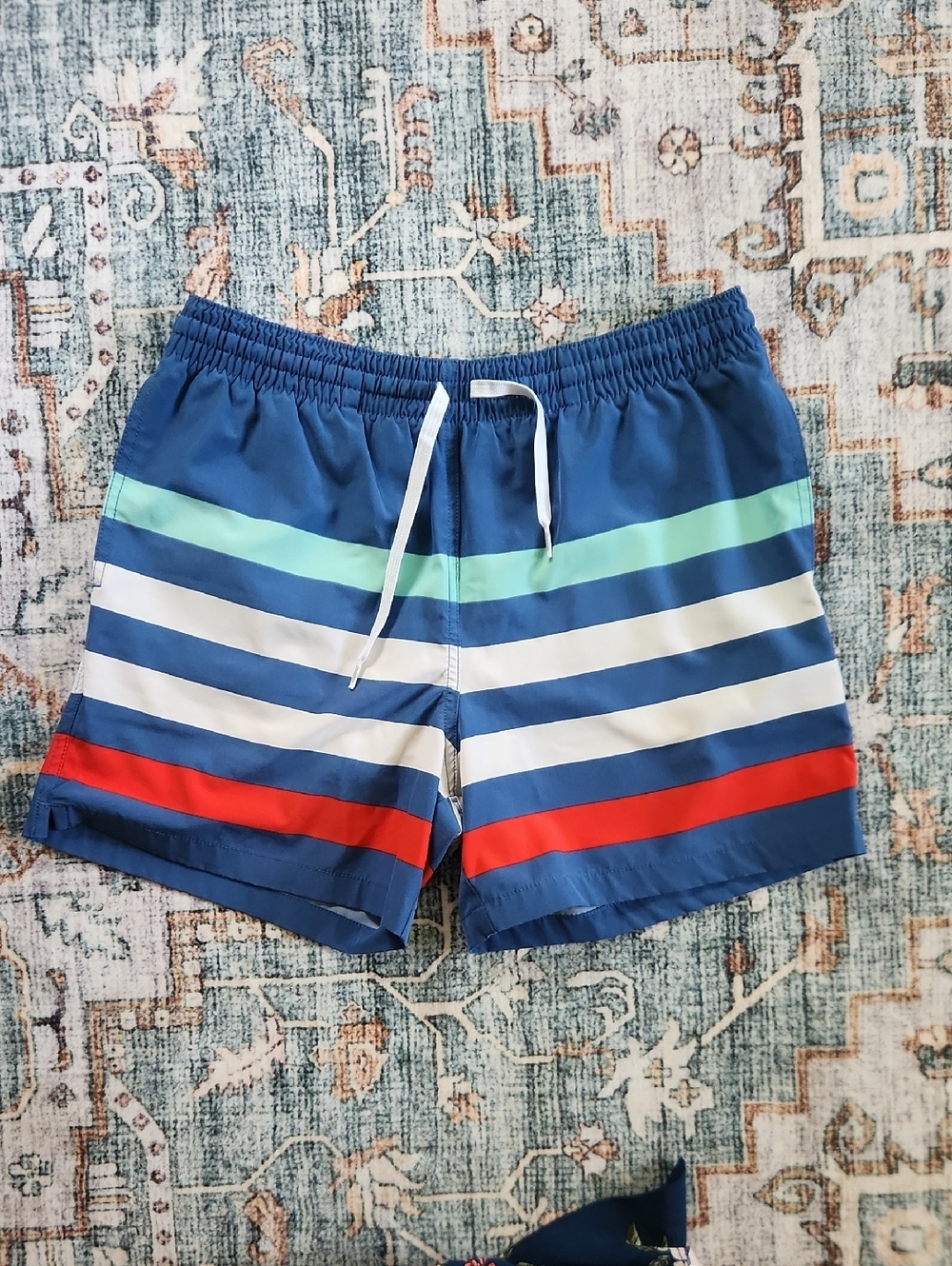 Chubbies Men's Striped Swim Trunks in Navy, White, Mint & Red